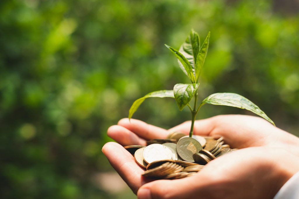 Hand of girl with tree growing from pile of coins . hand holding a young tree growing on coins.Growing business.Businessman holding growth plant with hands.